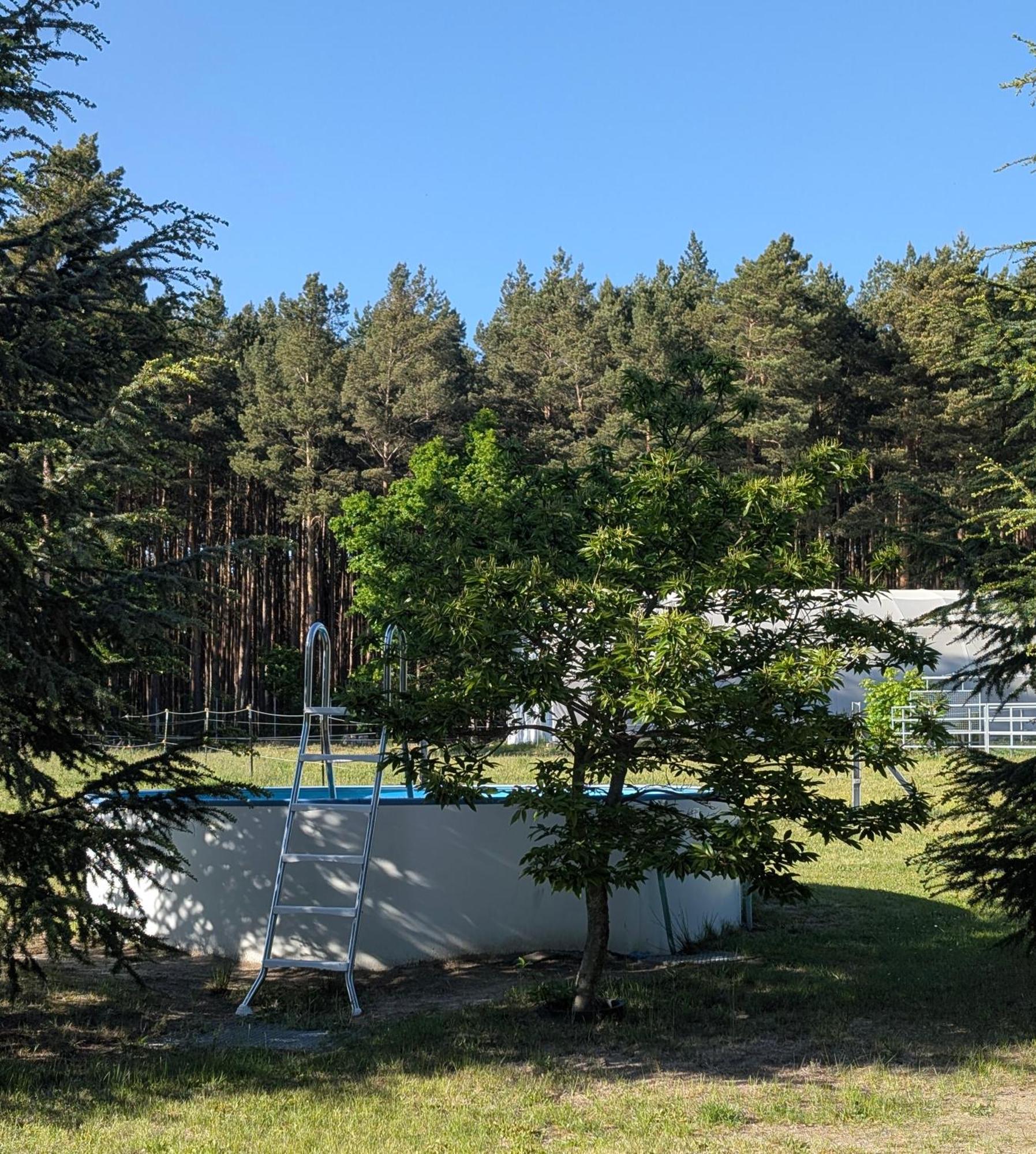 Pension Zum Reiterhof, Fewo 2 Schmogrow Extérieur photo